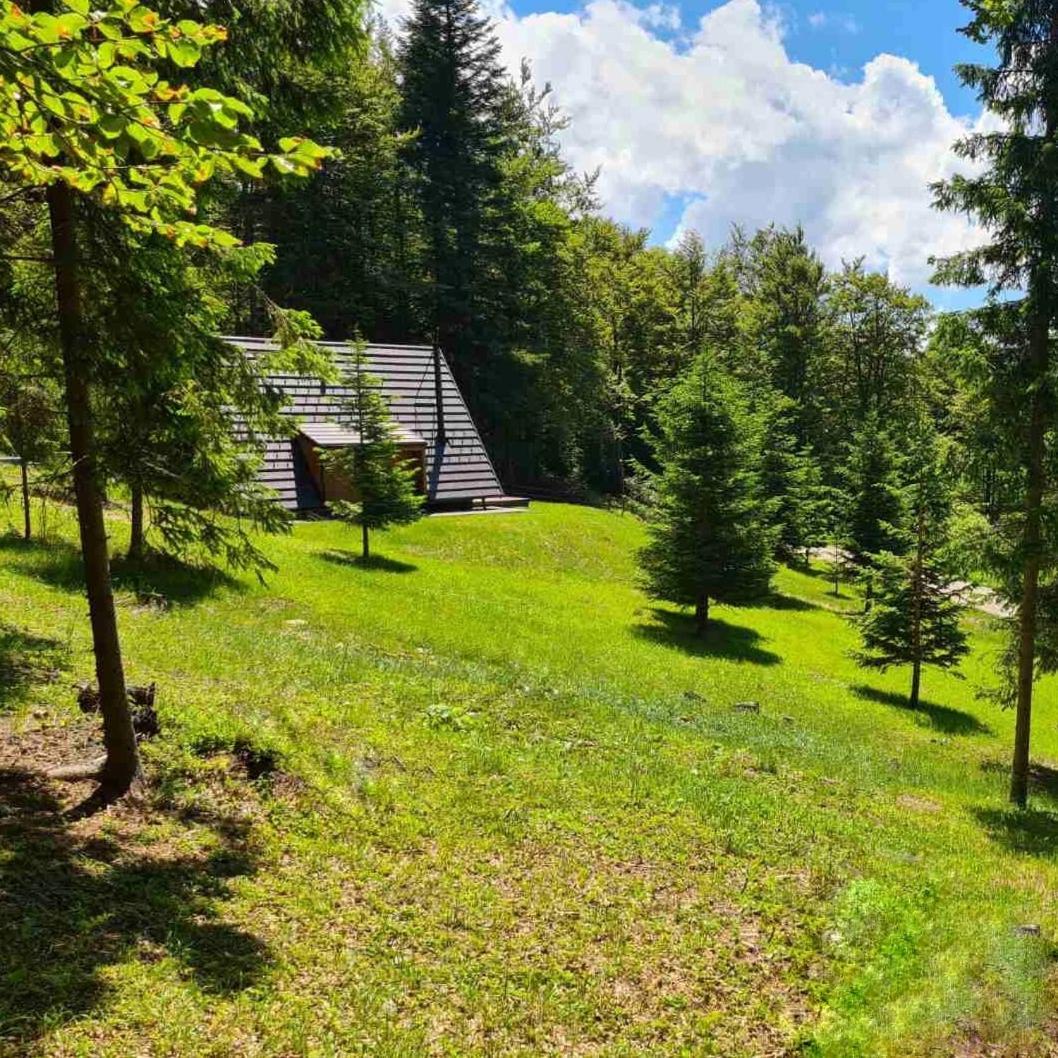 Vrleti Tare Villa Bajina Basta Luaran gambar